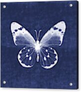 White And Indigo Butterfly 1- Art By Linda Woods Acrylic Print