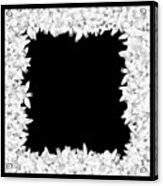 White Black Lily Flower Frame Acrylic Print