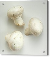 White Mushrooms Acrylic Print
