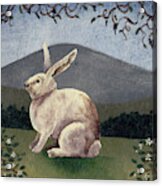 White Rabbit Acrylic Print