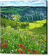 Wild Flowers Blooming On Mount Rainier Acrylic Print