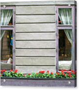 Windows With Flowers Of Old Hotel In The Old Town Gamla Stan Acrylic Print