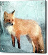 Winter Fox In Falling Snow Acrylic Print
