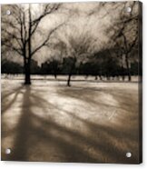 Winter In The City Acrylic Print