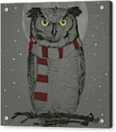 Winter Owl Acrylic Print