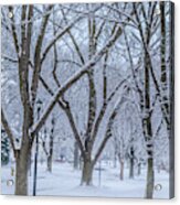 Winter's Parting Punch Acrylic Print