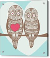 Wise Owl Couple On Tree Branch Acrylic Print