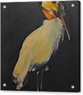 Wood Stork Acrylic Print