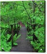 Wooden Foot Bridge Acrylic Print