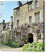 Worcester College Wisteria Oxford Acrylic Print