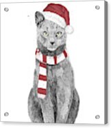Xmas Cat Acrylic Print