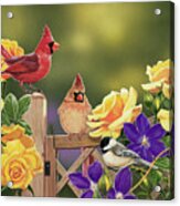 Yellow Roses And Songbirds Acrylic Print