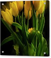 Yellow Tulips In The Wind Acrylic Print