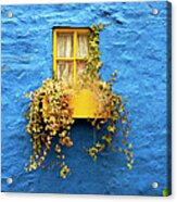 Yellow Window On Bright Blue Wall & Acrylic Print