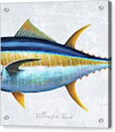 Yellowfin Tuna Portrait Acrylic Print