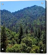 Yosemite Green Forest View Acrylic Print