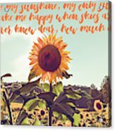 You Are My Sunshine #sunflowers #inspirational Acrylic Print