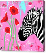 Zebra Acrylic Print