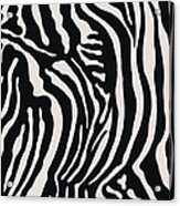 Zebra Pattern Acrylic Print