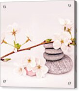 Zen Cherry Blossom Acrylic Print
