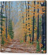 A Walk In The Woods #1 Acrylic Print