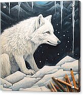 Arctic Fox #1 Acrylic Print