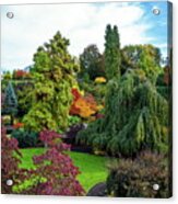 Autumn Landscape At Queen Elizabeth Park  #1 Acrylic Print
