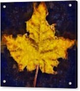 Autumn Leaf Acrylic Print