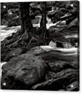 Black And White River 3 #1 Acrylic Print