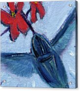 Blue Hummingbird Acrylic Print