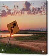 Dodged A Bullet - Curve In Road Sign With Sunlight Through Bullet Hole Acrylic Print