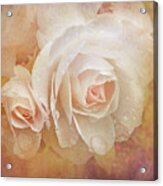 Dreaming Of Peach Roses Acrylic Print