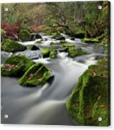 Flowing Into Fall #1 Acrylic Print