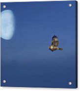 Fly Me To The Moon #1 Acrylic Print