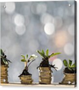 Heaps Of Coins Of Euro With Green Natural Plants It They Are Born, Illuminated By The Light Of The Sun #1 Acrylic Print