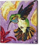 Hummingbird #2 Acrylic Print