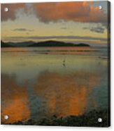 Leinster Bay Dawn Reflections #1 Acrylic Print