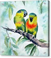 Love Birds #1 Acrylic Print
