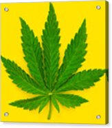 Marijuana Leaf On A Yellow Background. #1 Acrylic Print
