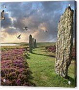 Ancient Stone - Photo Of The Ring Of Brodgar Stone Circle, Orkney #1 Acrylic Print