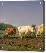 Ploughing In The Nivernais Acrylic Print