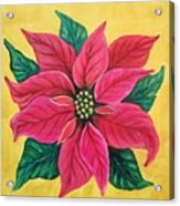 Poinsettia  #2 Acrylic Print