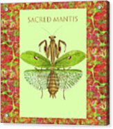 Sacred Mantis #2 Acrylic Print