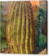 Fish Hook Barrel Cactus Acrylic Print