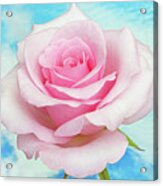 Sky Pink Rose #1 Acrylic Print