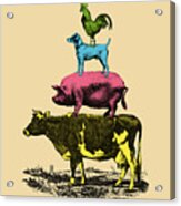 Stack Of Animals #1 Acrylic Print