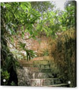 Steps Near Cenote - Chichen Itza Acrylic Print