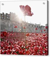 Three Generations Of The Armed Forces Plant Poppies At Tower Of London #1 Acrylic Print