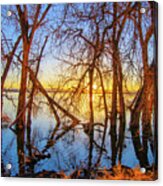 Twisted Trees, Bare Trees On  Barr Lake, During Sunset, In Barr Lake State Park, Brighton, Co Spring Acrylic Print