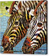 Zebra Glass Mosaic #1 Acrylic Print